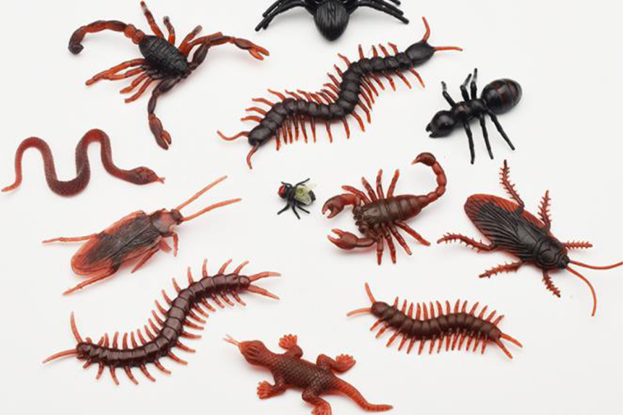 Serangga karet palsu dalam berbagai model seperti kecoa, kelabang, dan laba-laba