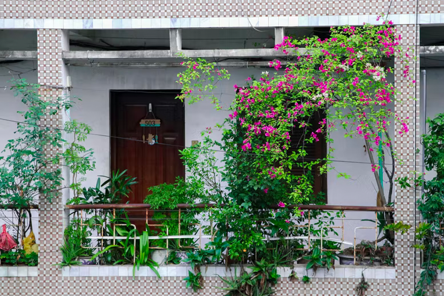 Balcony garden with vibrant flowers