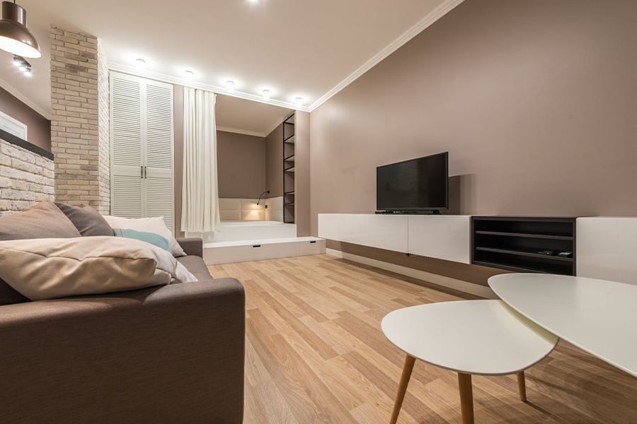 Stylish living room with TV and bath