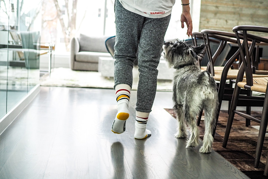 Gray wood vinyl flooring with a person and dog walking