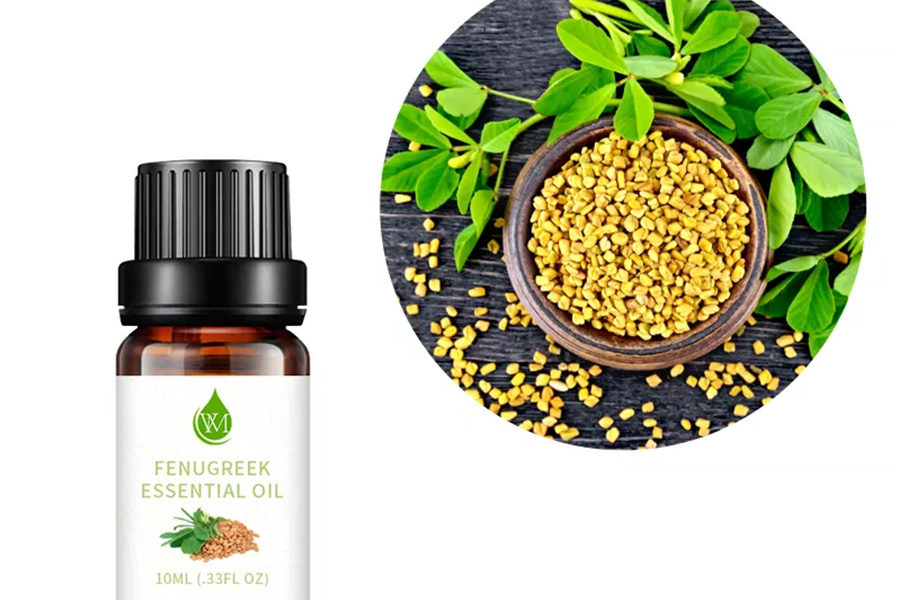 Fenugreek essential oil next to fenugreek seeds