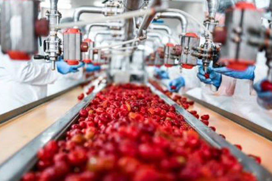 Fruits undergoing the processing stage