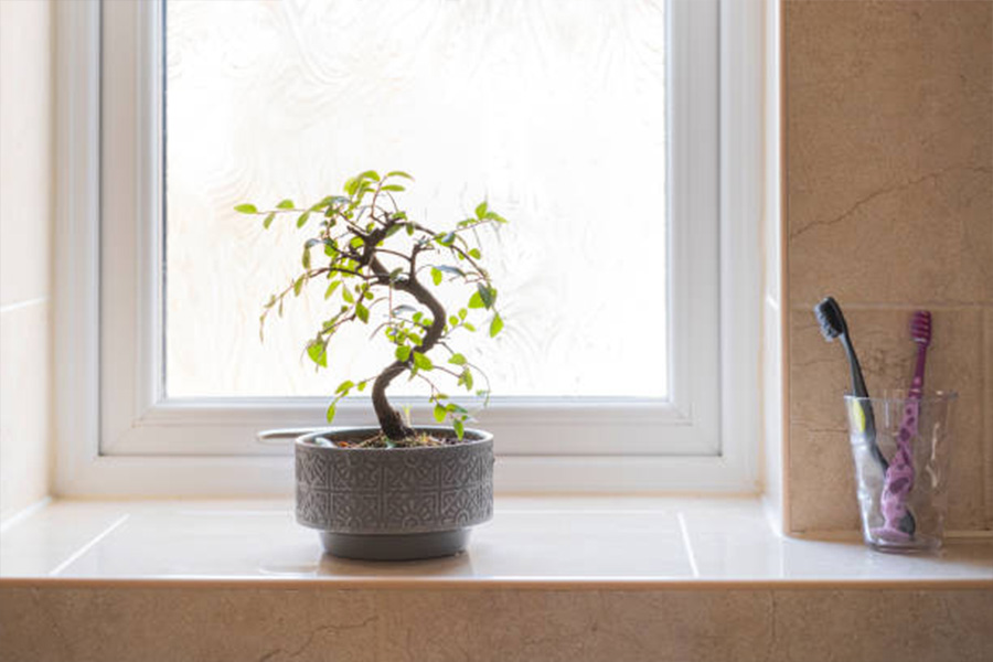 miniature artificial bonsai plant in a gray ornate pot