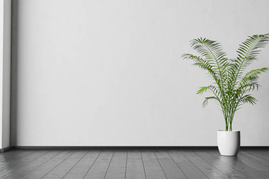 Small artificial palm tree in a white pot