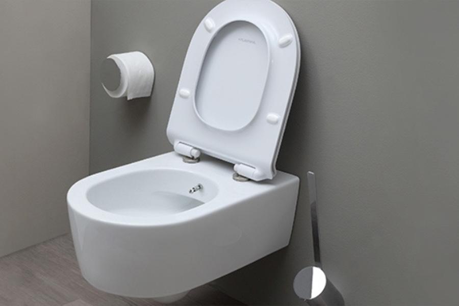 Stand-alone toilet with built-in bidet