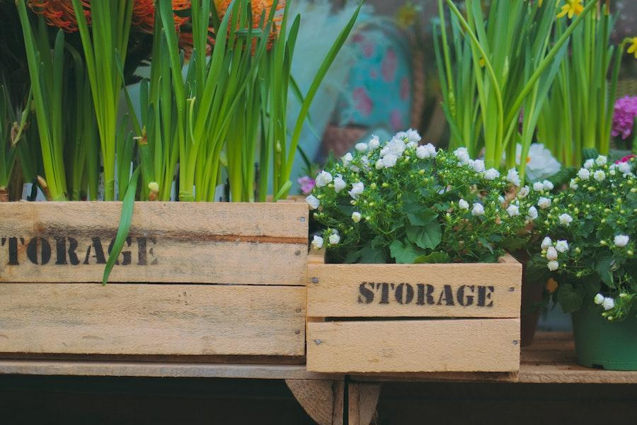 Wooden containers holding beautiful plants