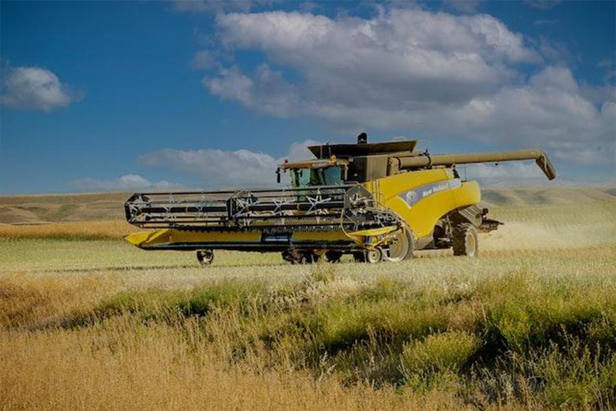 Combine harvester on an open field