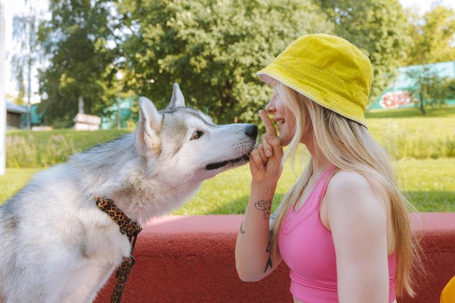 Woman in a yellow bucket hat playing with a dog