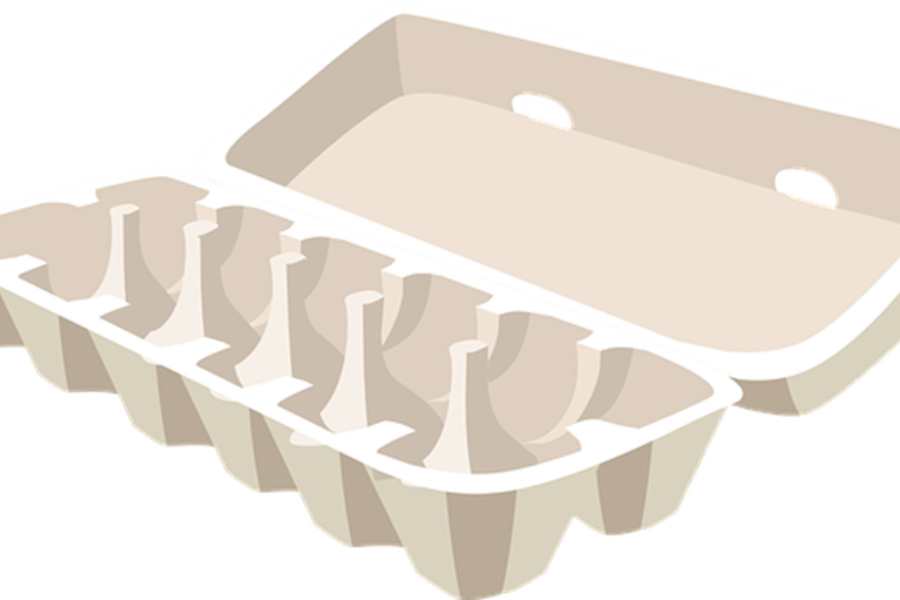 A sugarcane packaging for eggs